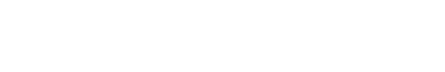 SentinelX
